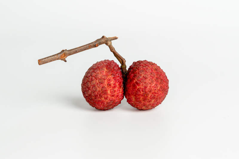 两颗荔枝枝头挂