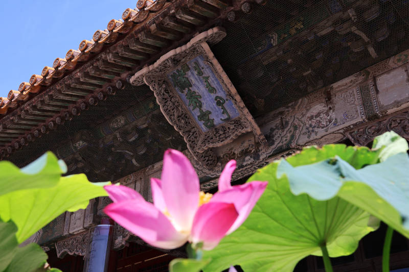 北京故宫古檐下的莲花