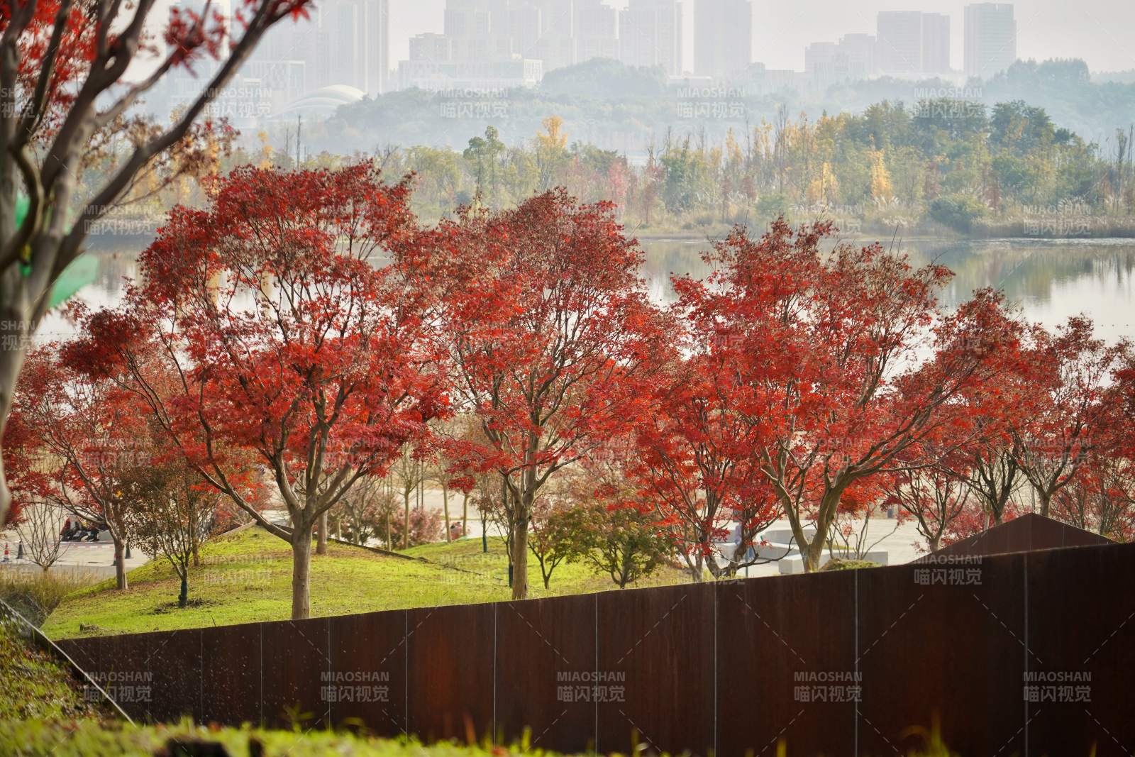 秋色湖畔紅葉景