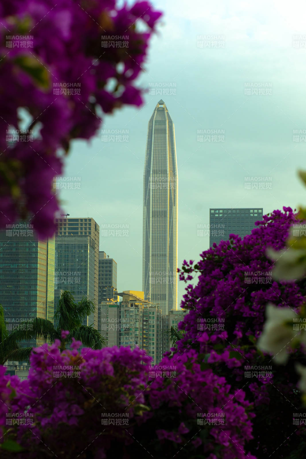 深圳莲花山遥望平安大厦