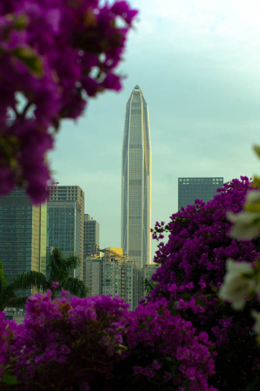 深圳莲花山遥望平安大厦