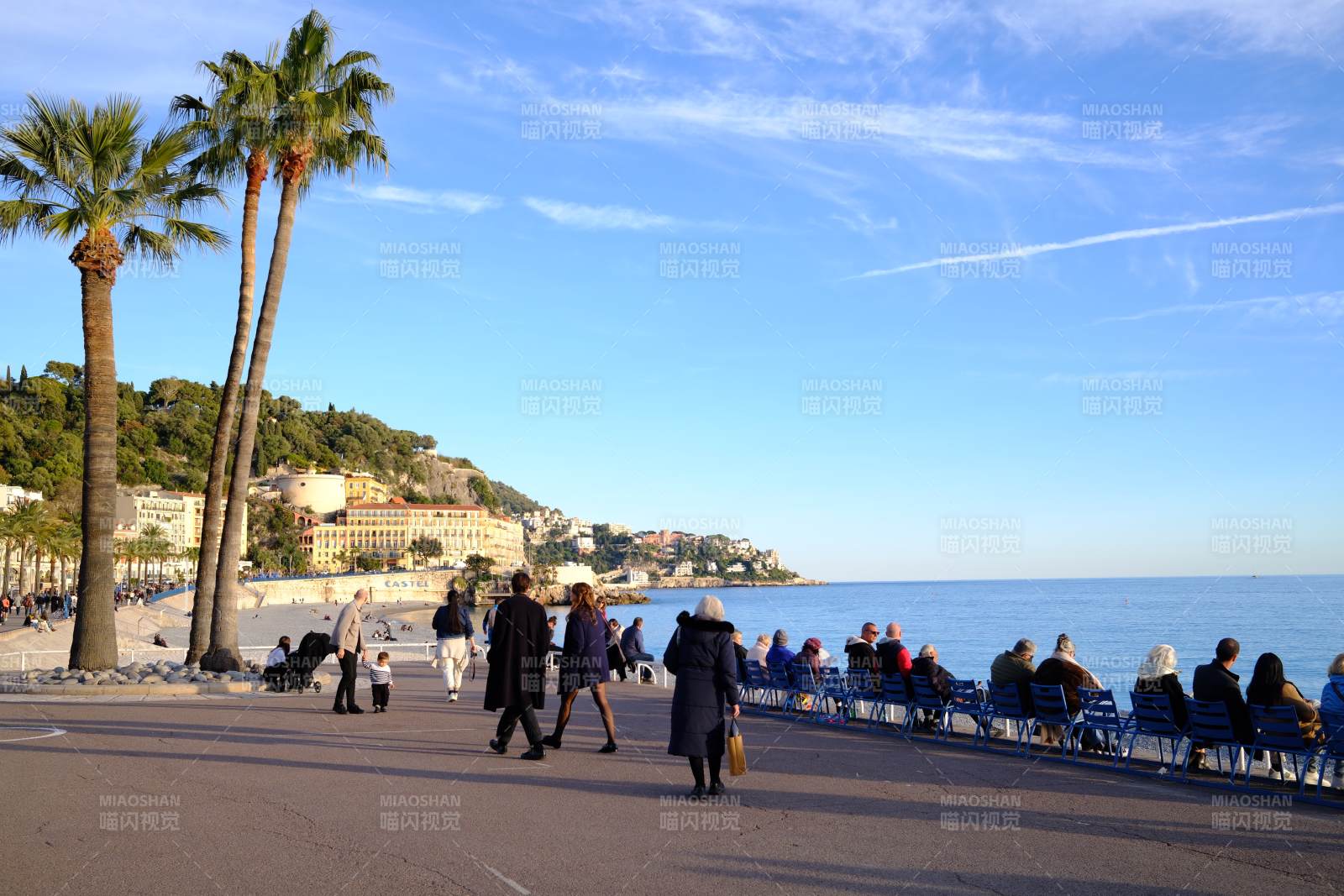 南法海滨棕榈风光