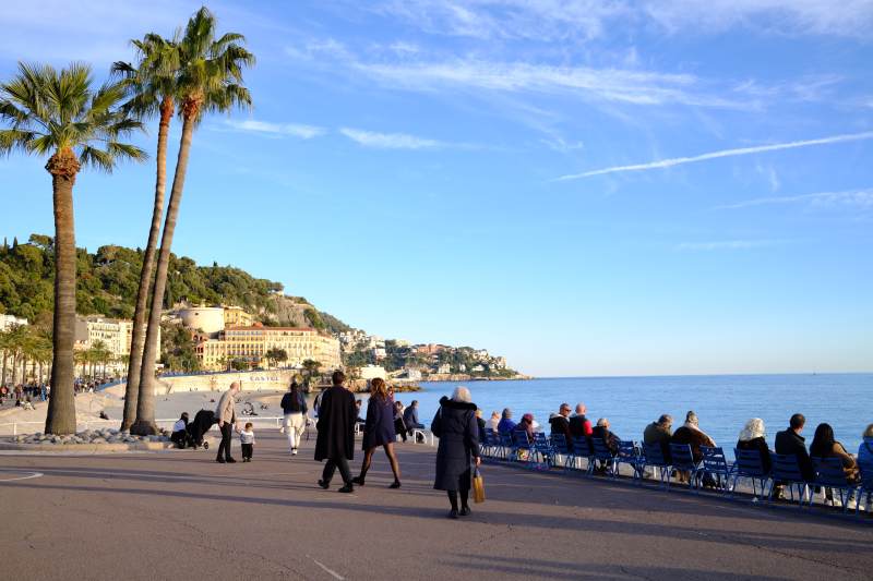 南法海滨棕榈风光