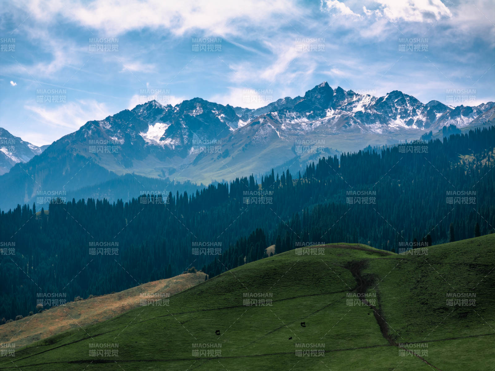 雪山绿野风光