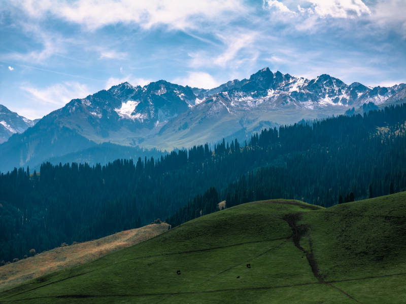 雪山绿野风光