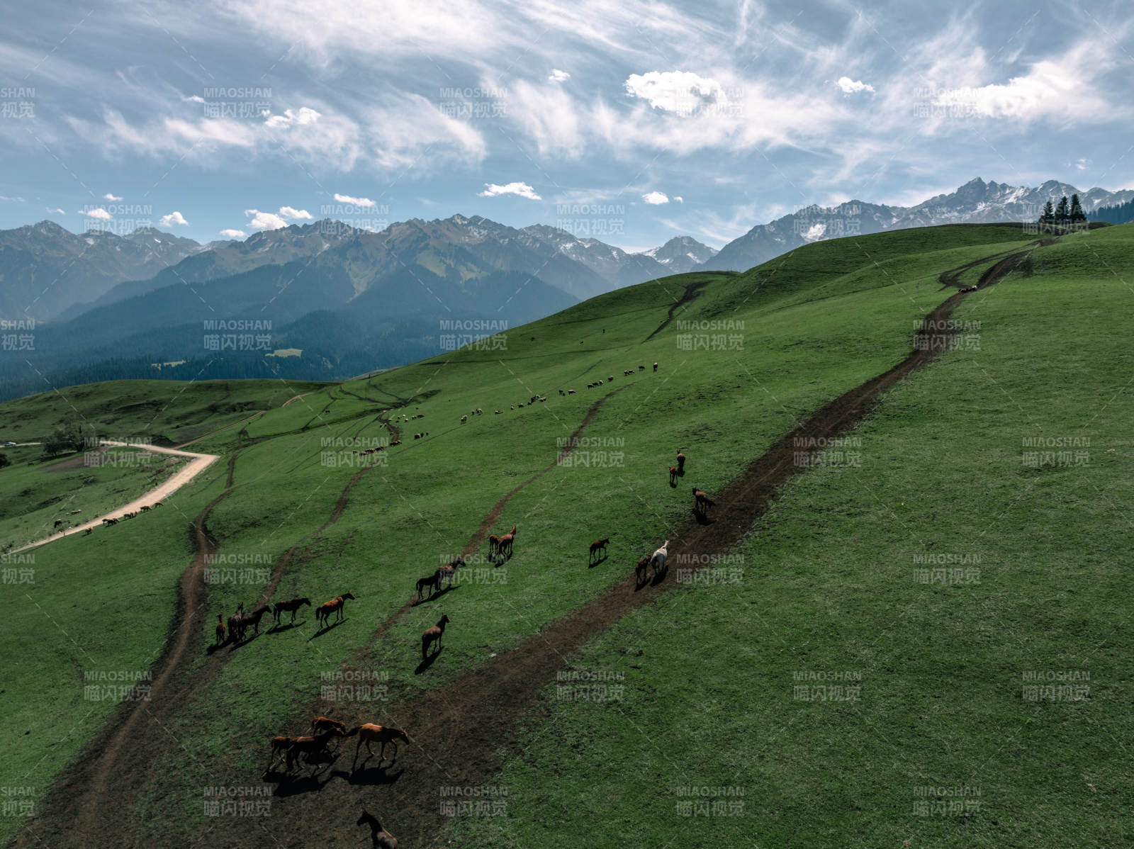草原牧马图