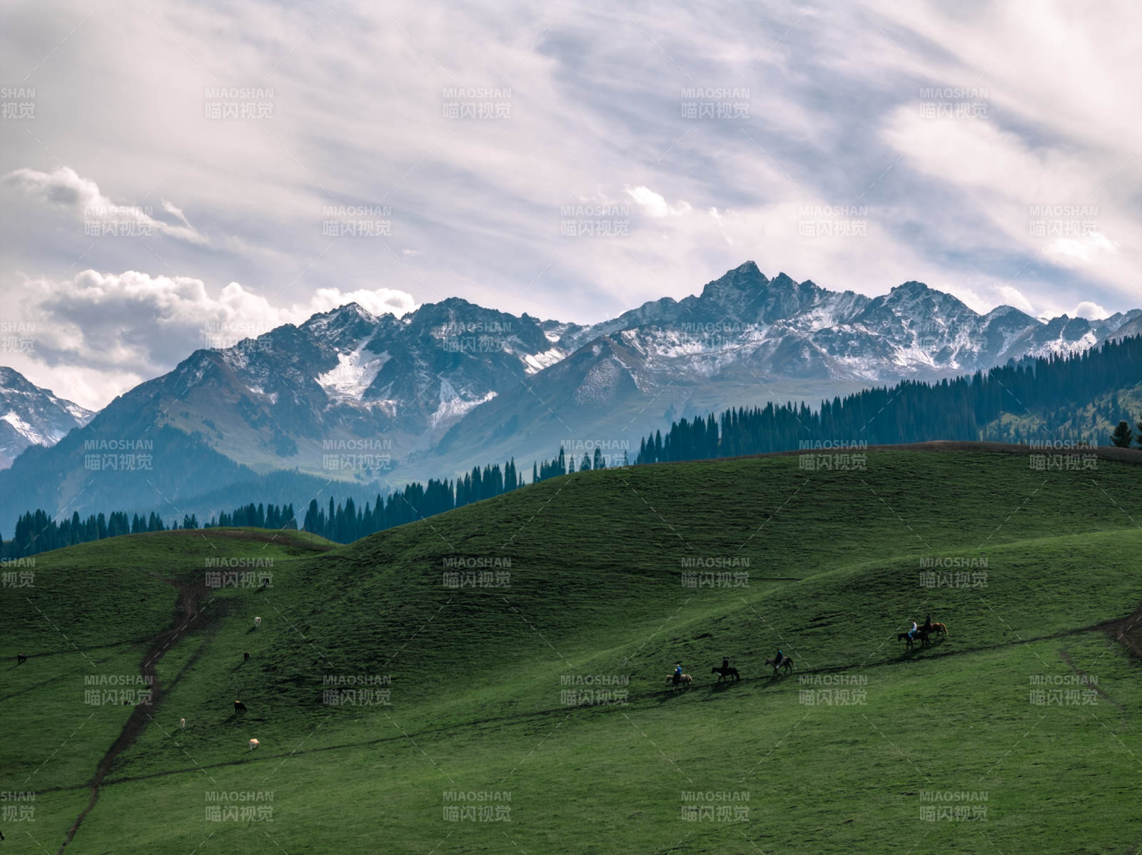雪山草原骑马图