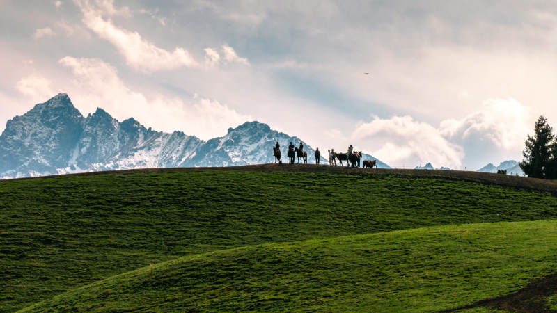 雪山綠野行旅圖
