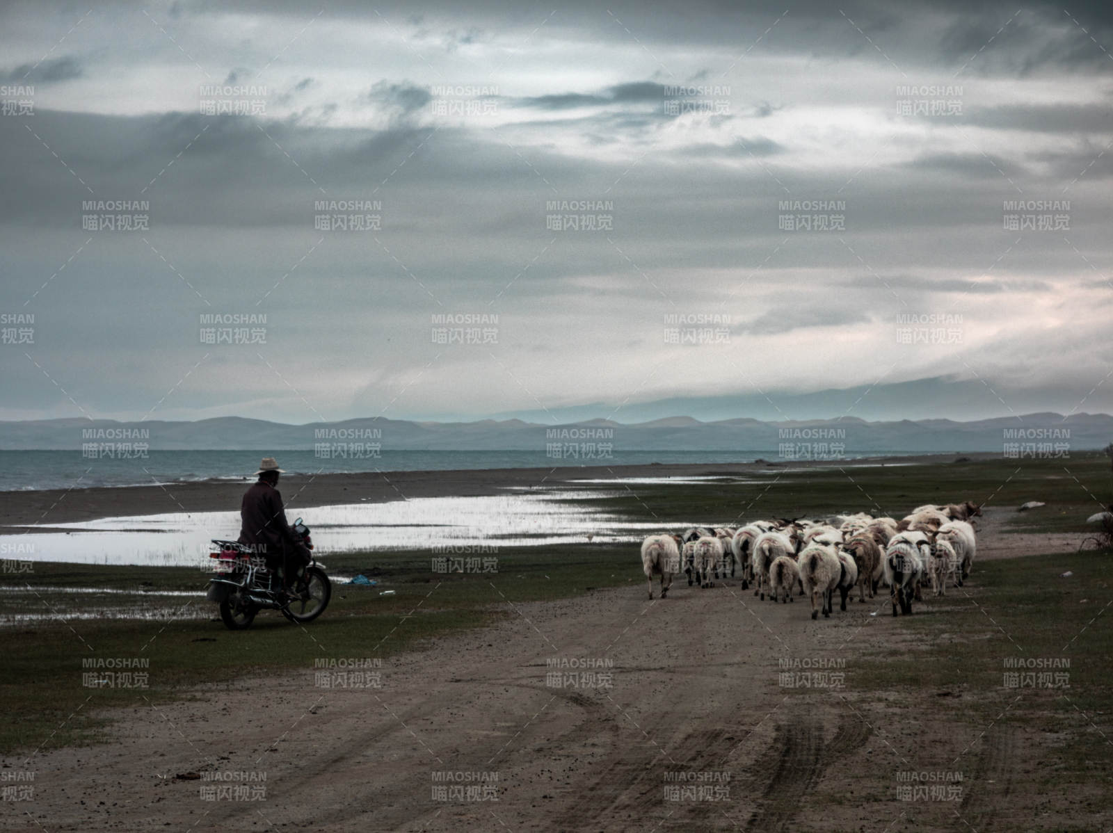 牧羊人与羊群行进中