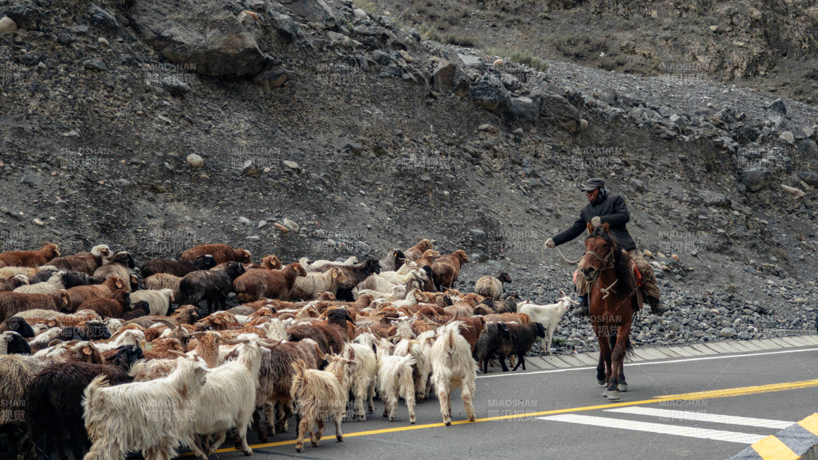 牧羊人騎馬趕羊群
