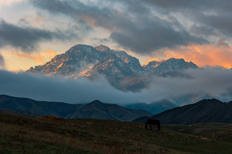雪山暮色牧马图