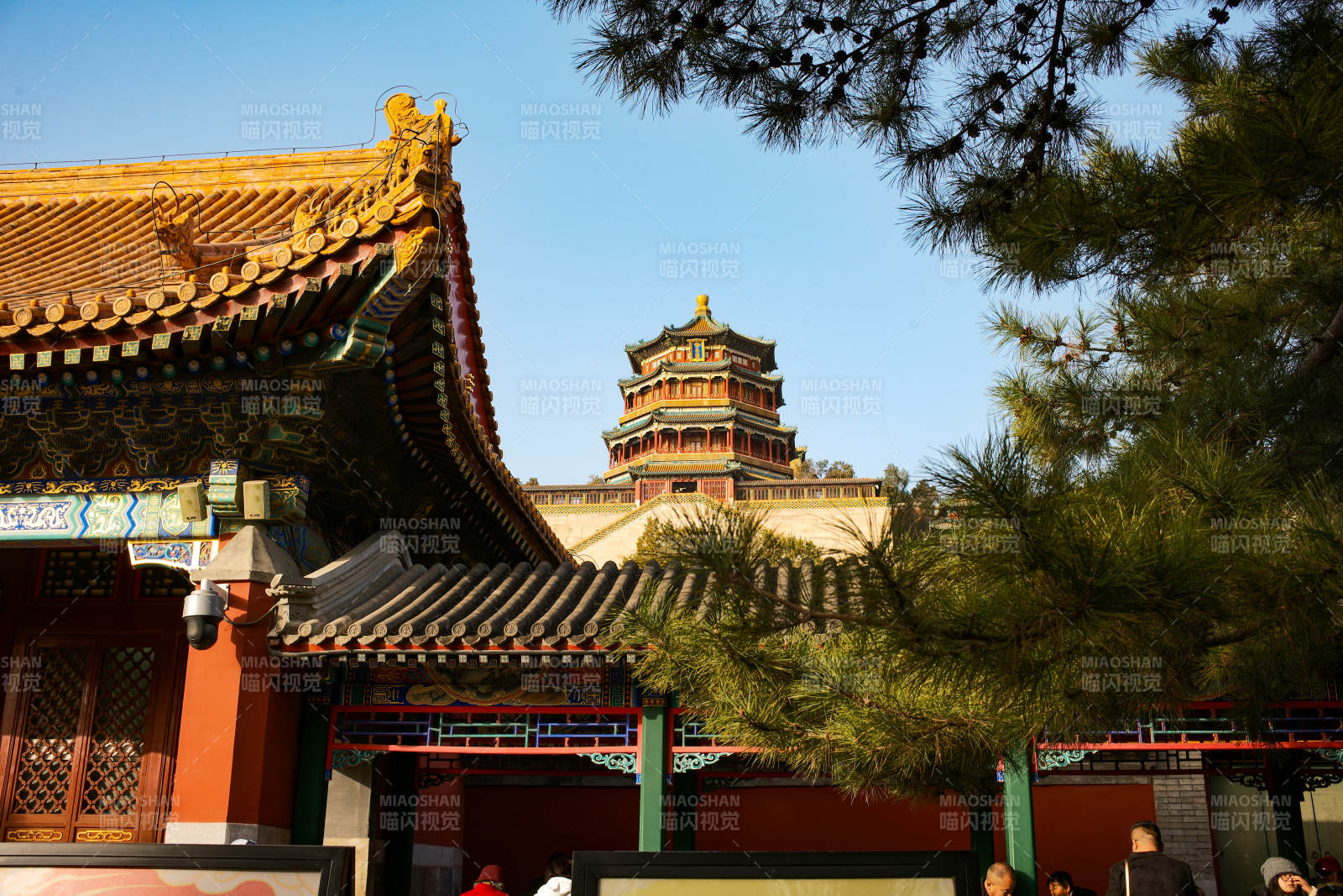 頤和園佛香閣—古建筑風光