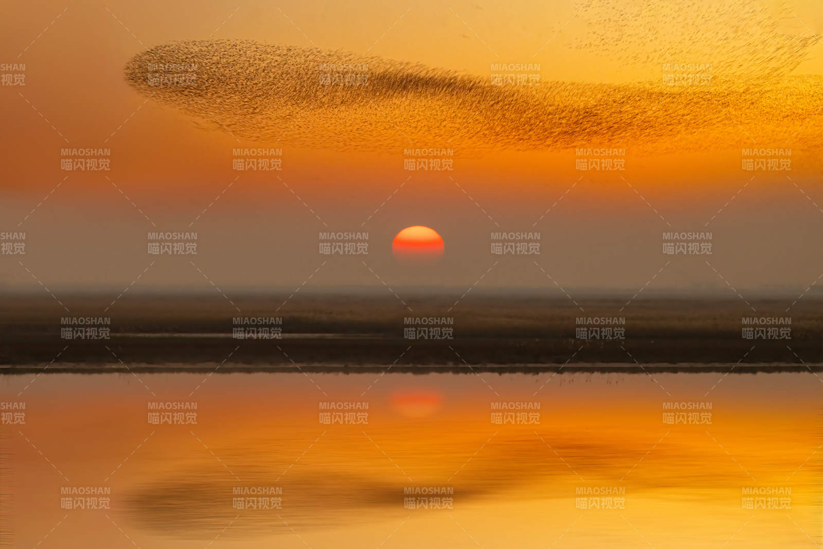 日落飛鳥映湖光