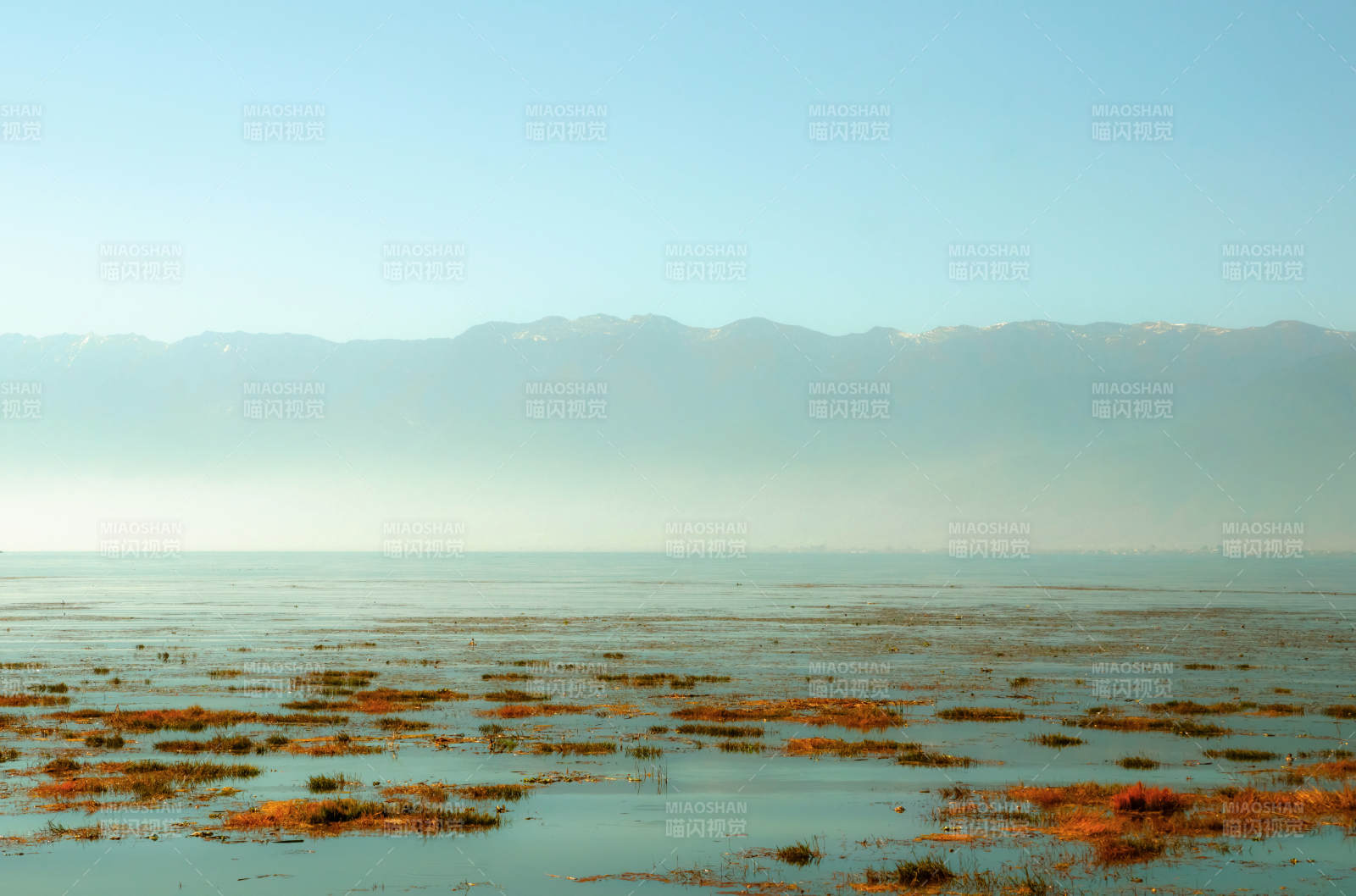 洱海苍山湿地晨雾