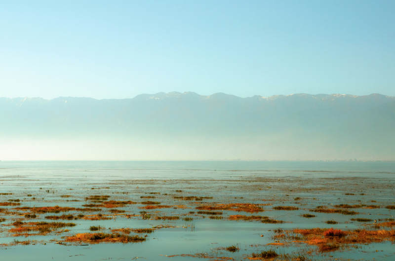 洱海苍山湿地晨雾