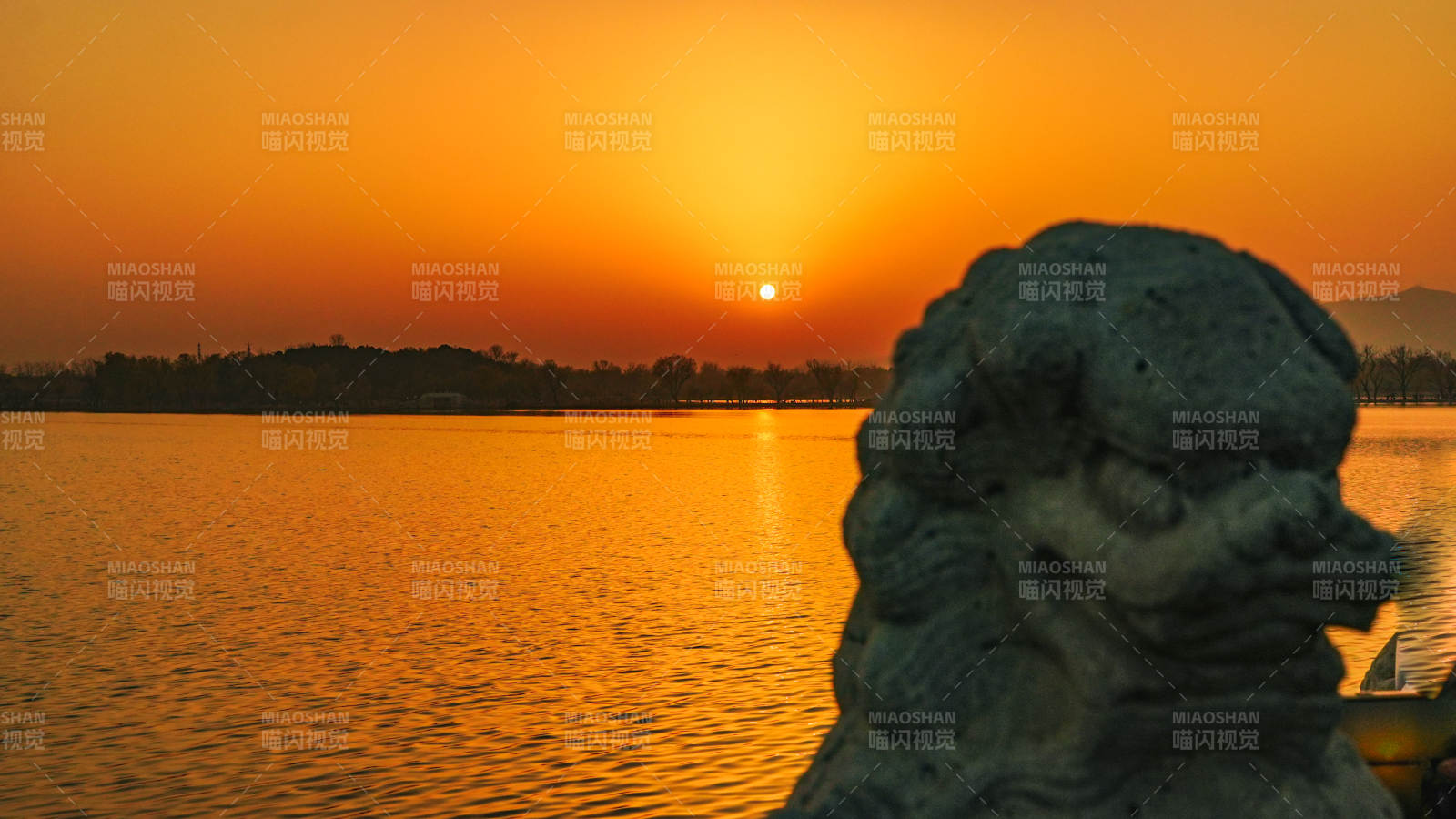 頤和園夕陽下的石獅