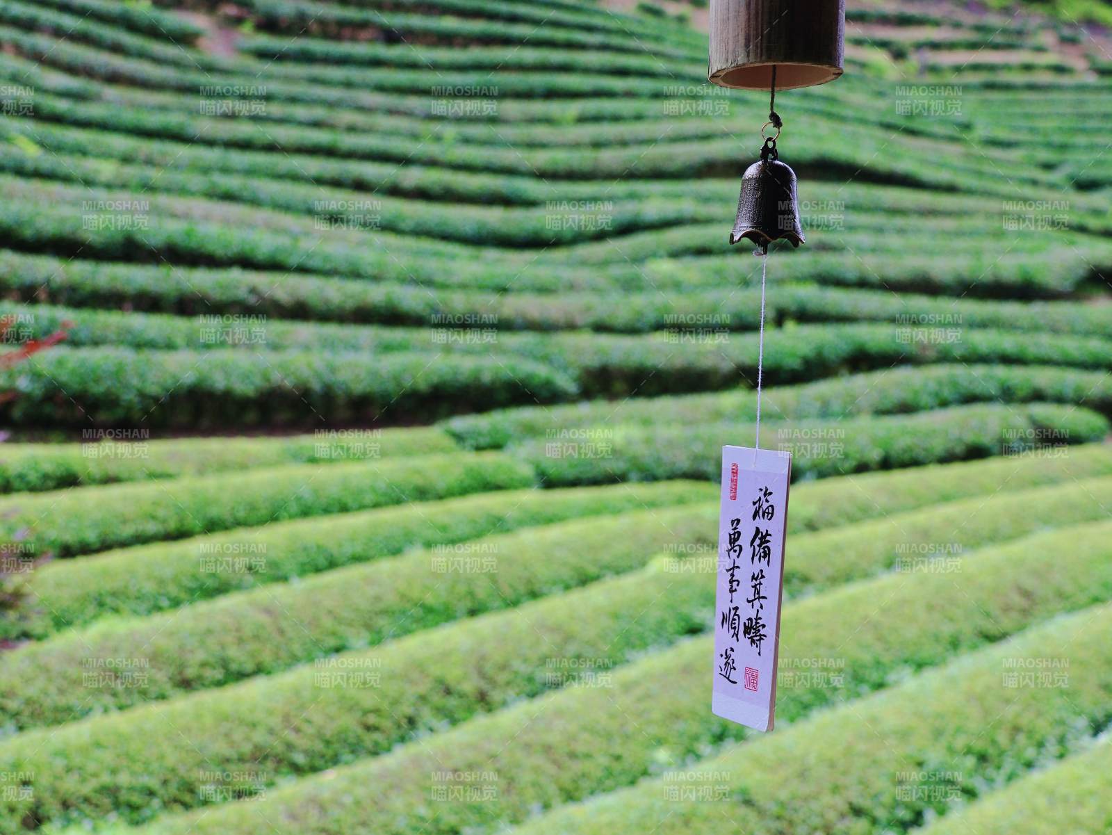 茶园风铃静谧景