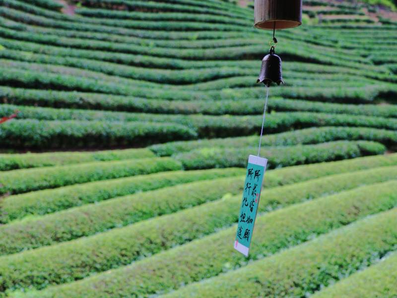 茶山风铃静谧景