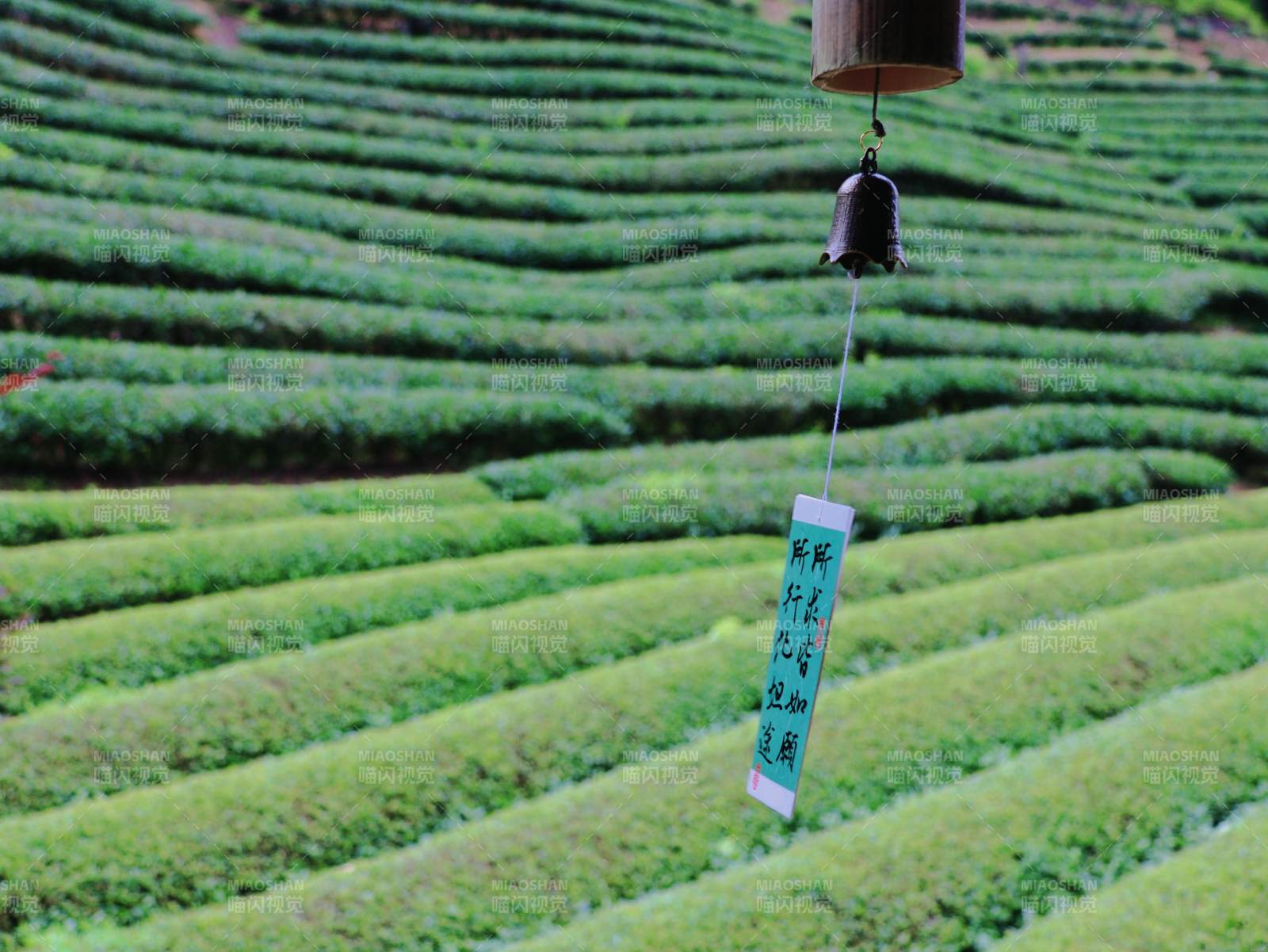 茶山风铃静谧景