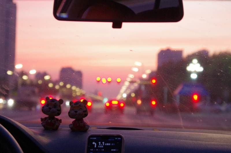 黄昏车行 双猫相伴