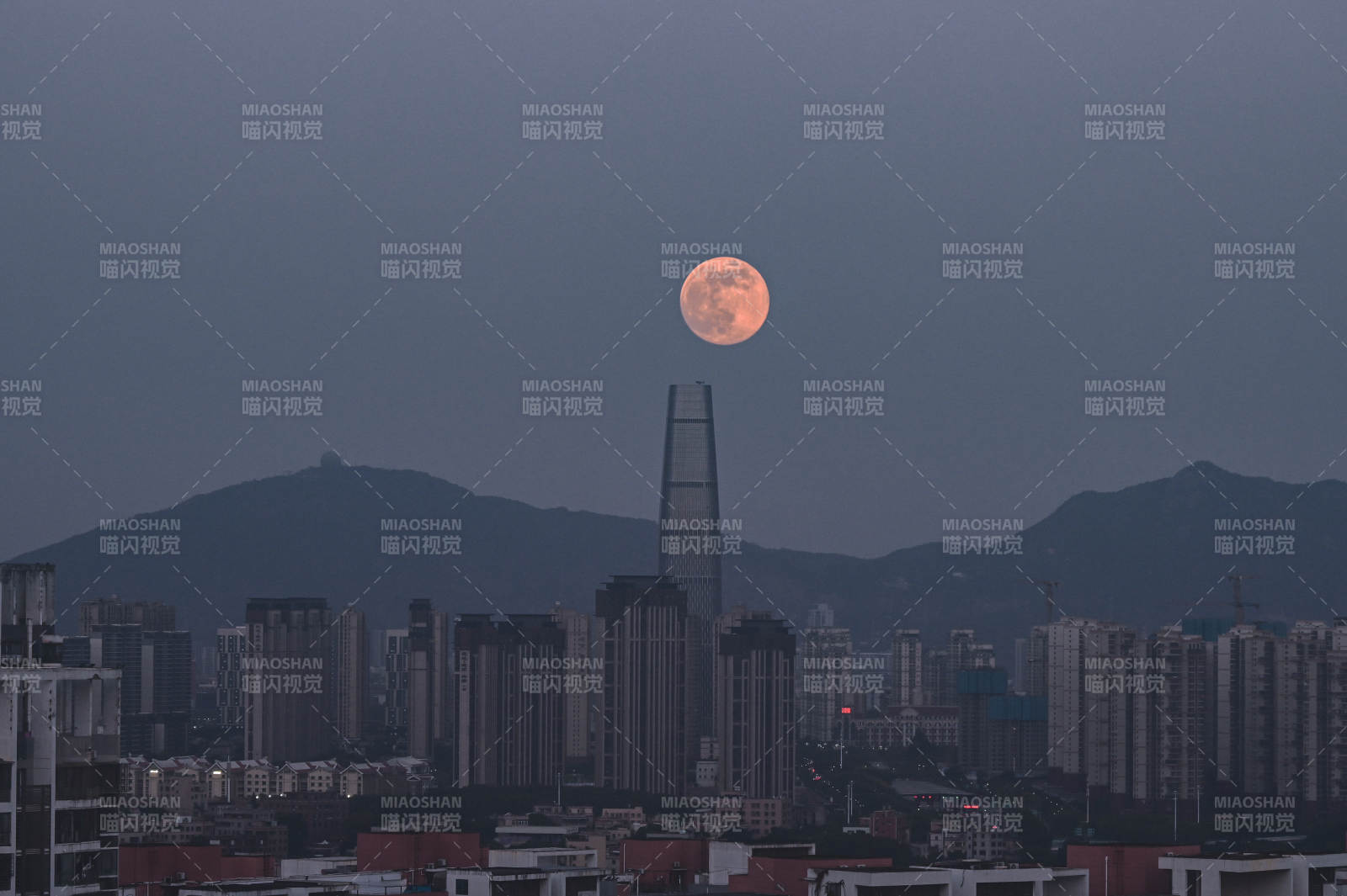 廈門月升城市夜景