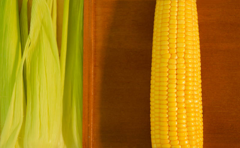 玉米特写