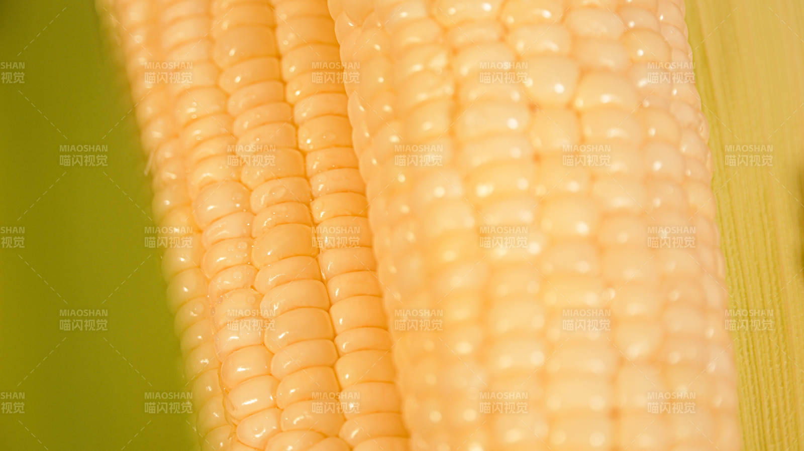 金黃玉米特寫