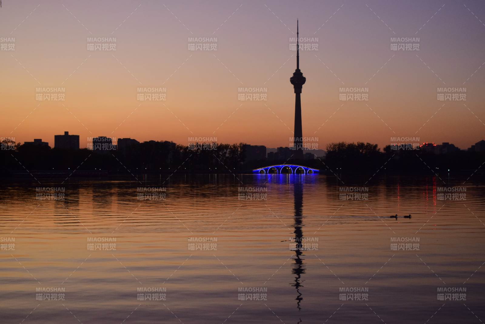 塔影映湖夜色美