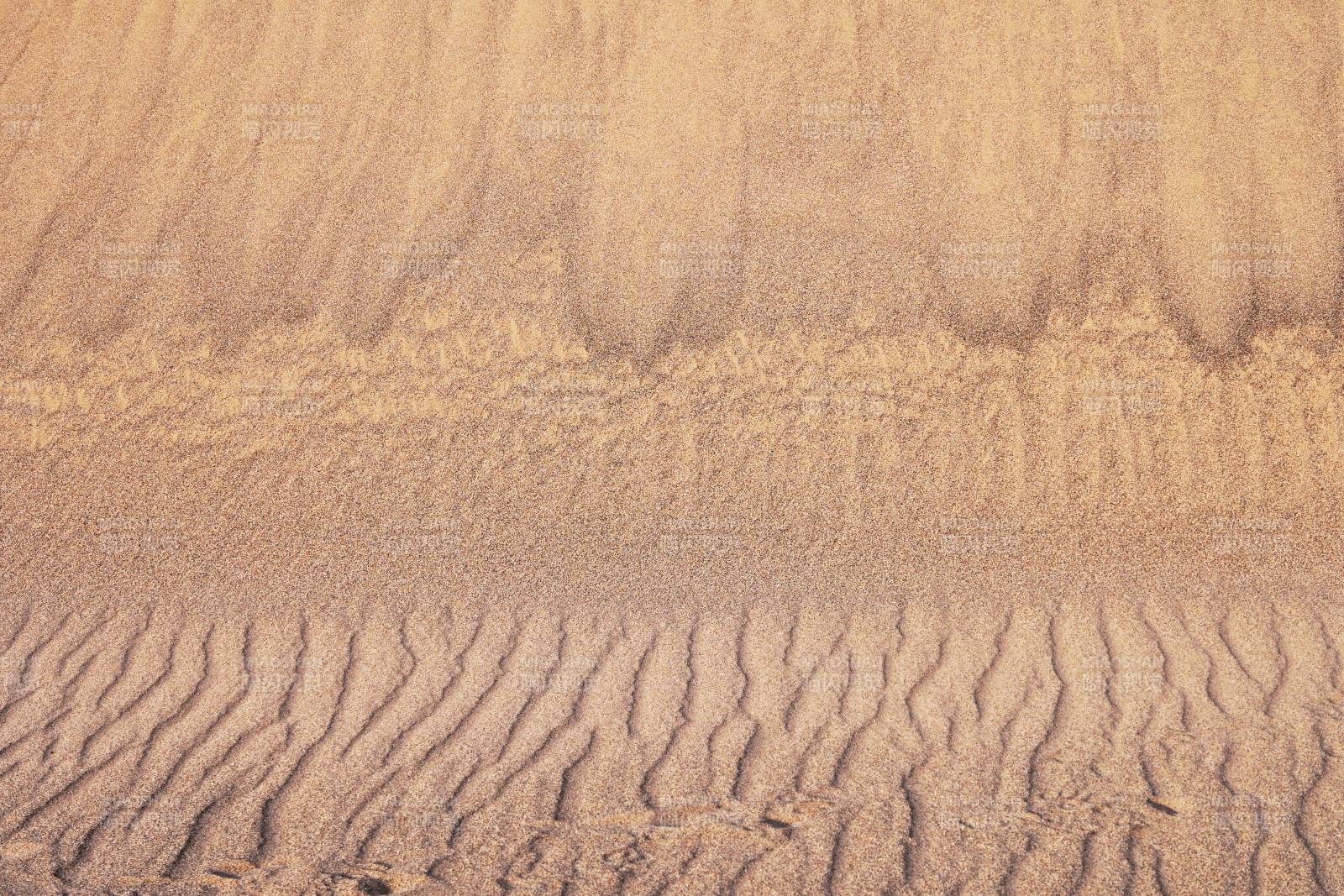 羅布泊大沙漠的自然景觀