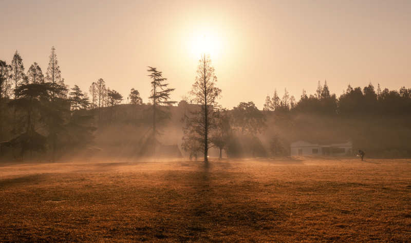 晨霧中的田野日出