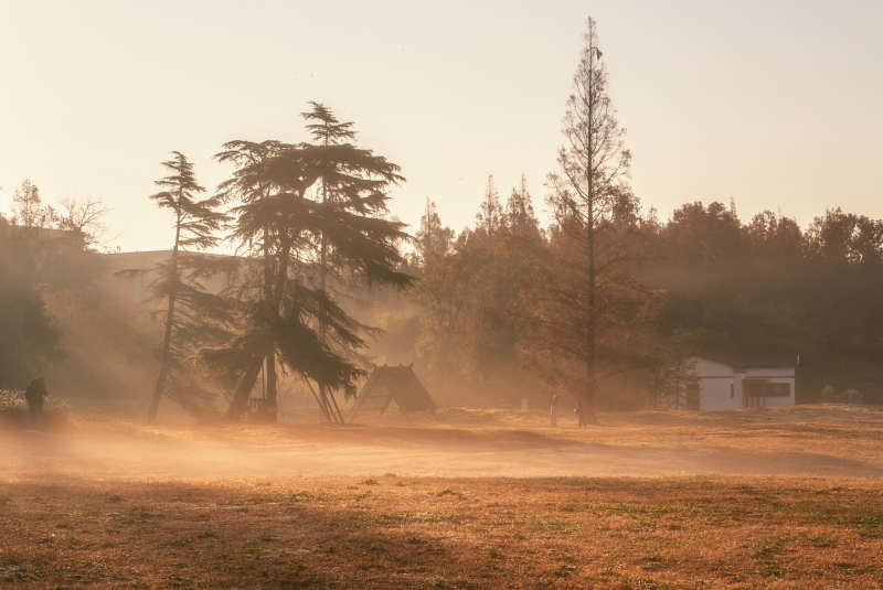 晨霧中的田野風光