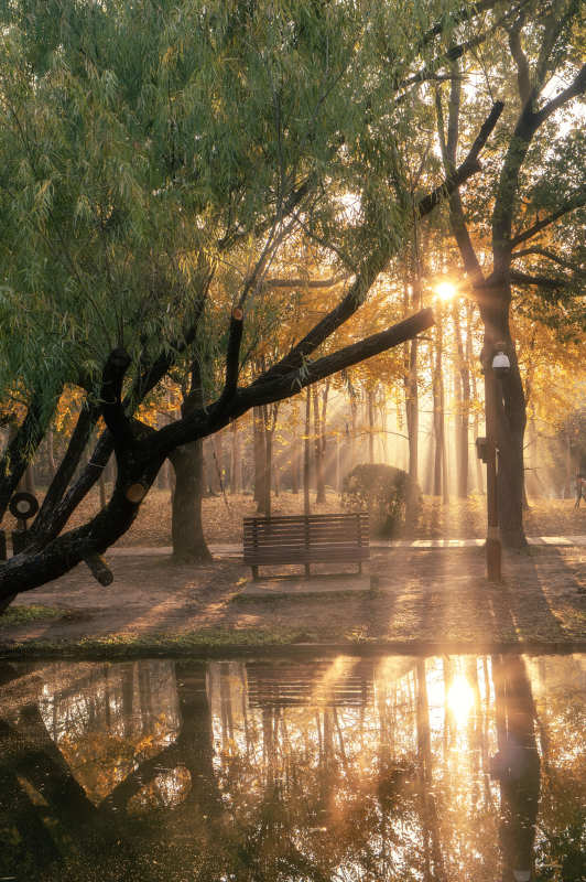 晨光中的靜謐公園