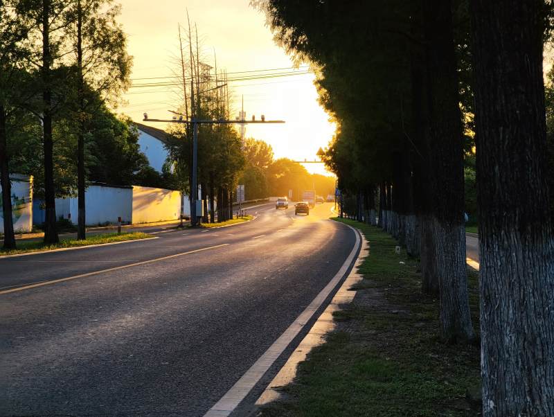 夕阳下的林荫道
