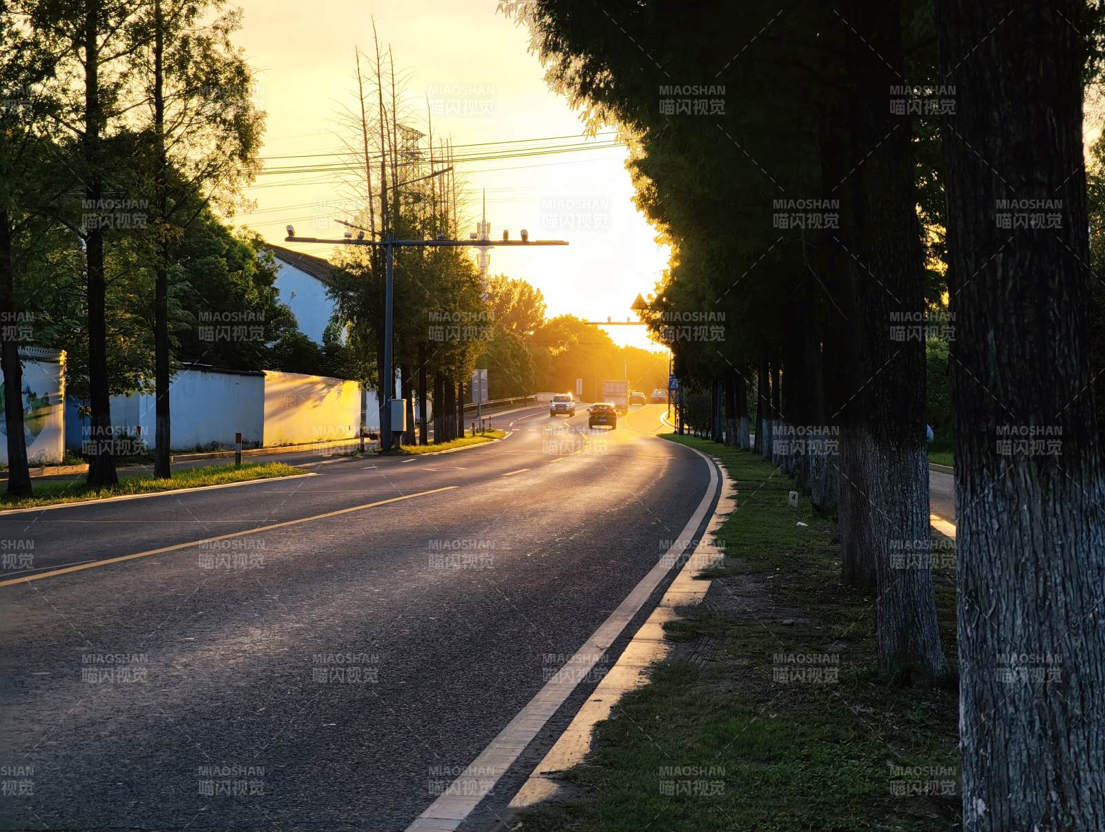 夕陽下的林蔭道