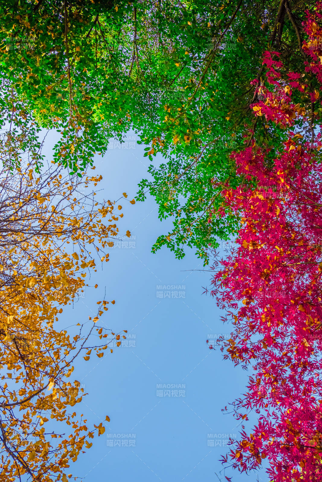 秋色斑斓天际线