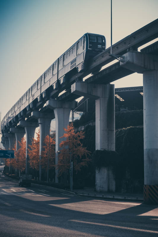 高架列車穿行秋色