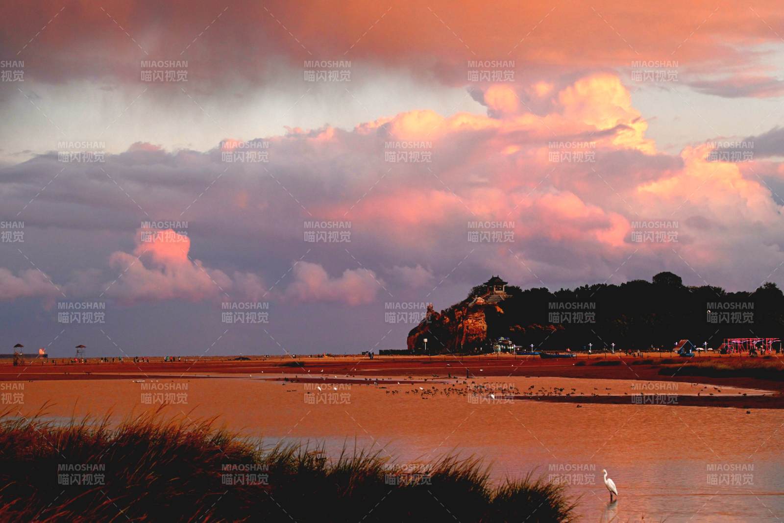 夕阳下的湿地风光