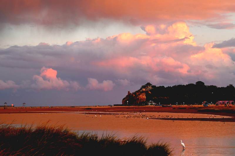 夕阳下的湿地风光