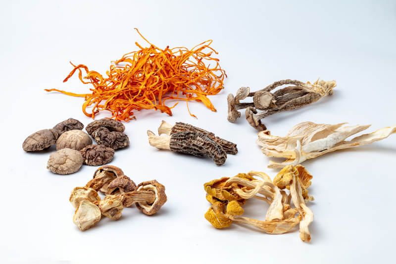 干菌類食材展示