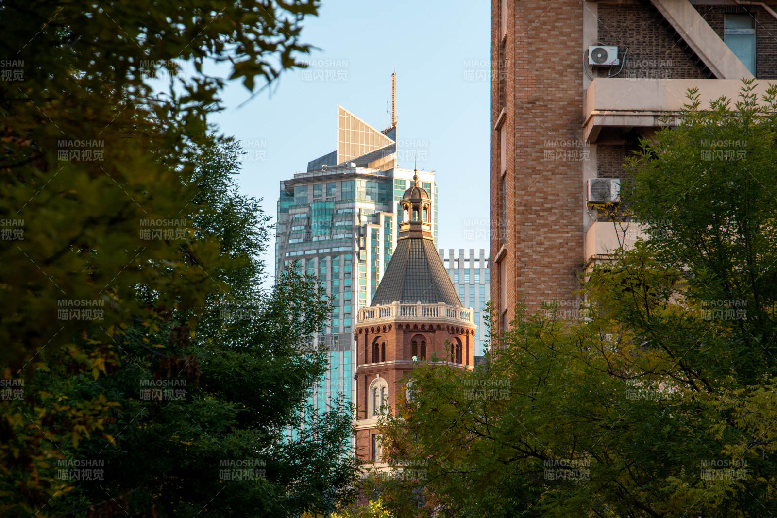 城市綠影中的塔樓