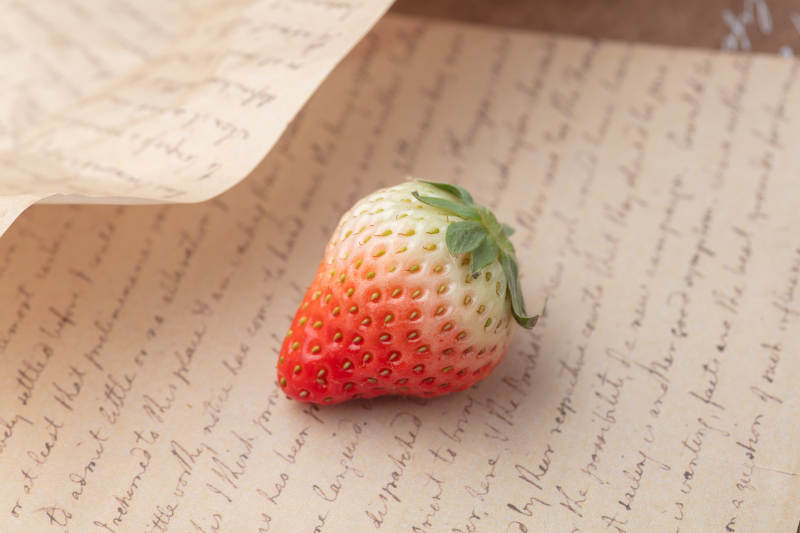草莓静置于信笺上