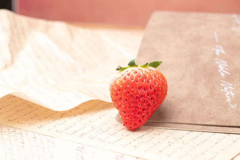 草莓静物图