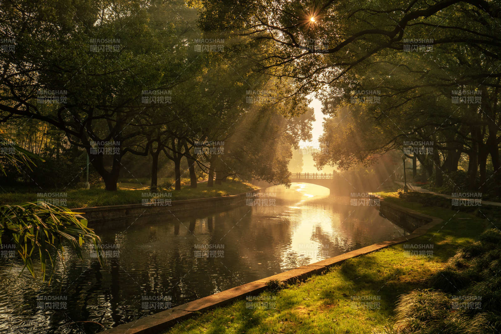 晨光穿林映水景