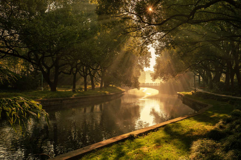 晨光穿林映水景