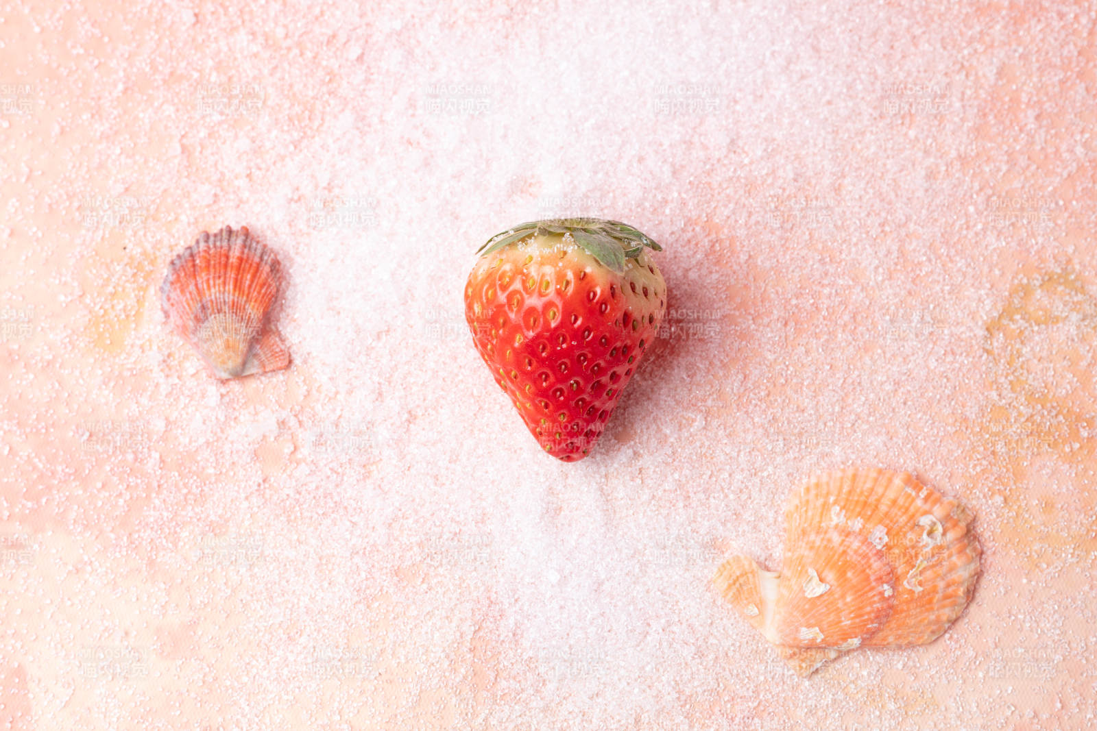 草莓与贝壳的沙滩静物