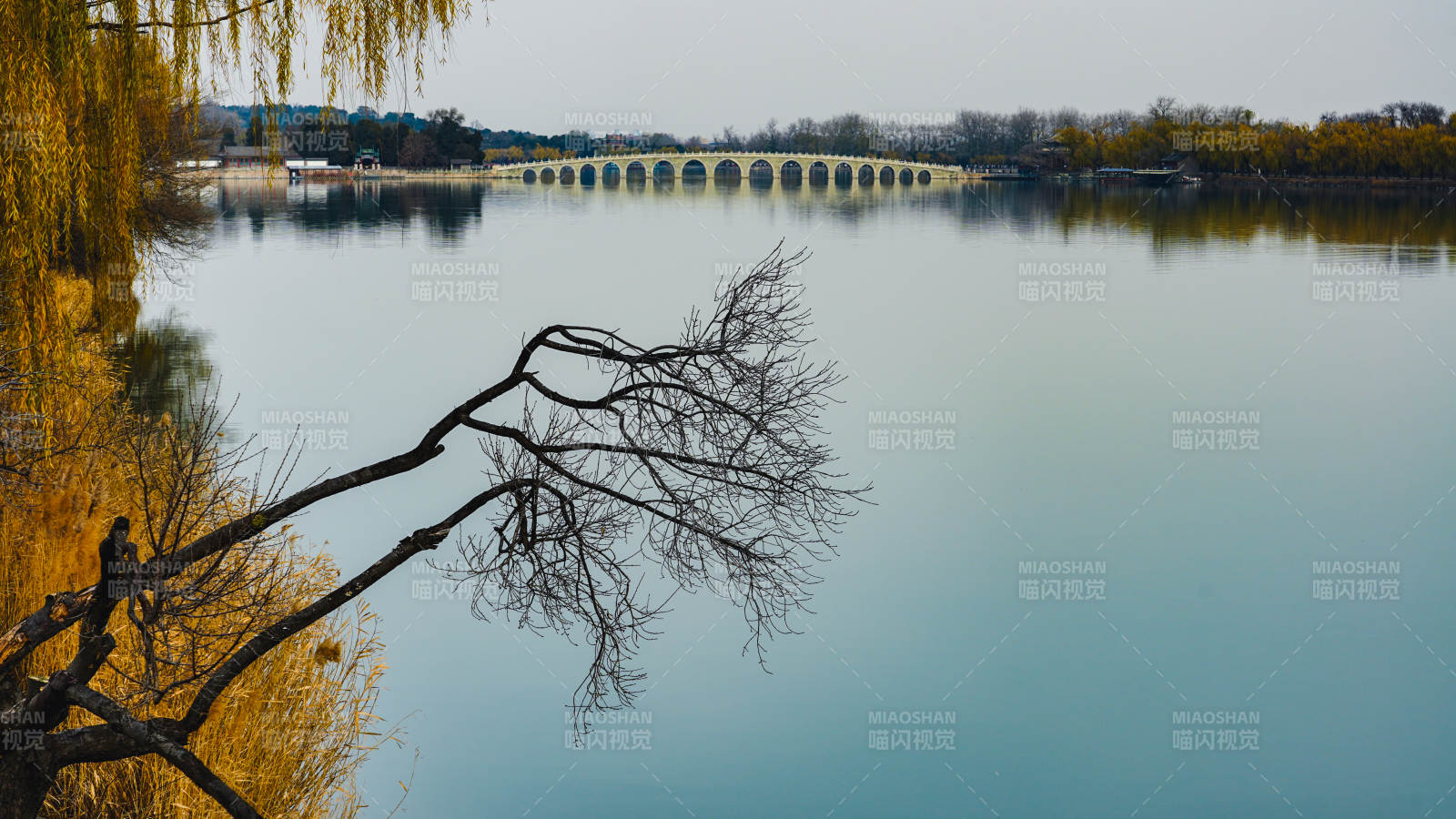 湖畔秋景静谧美