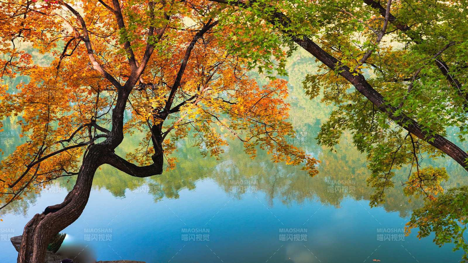 頤和園后湖秋色湖光