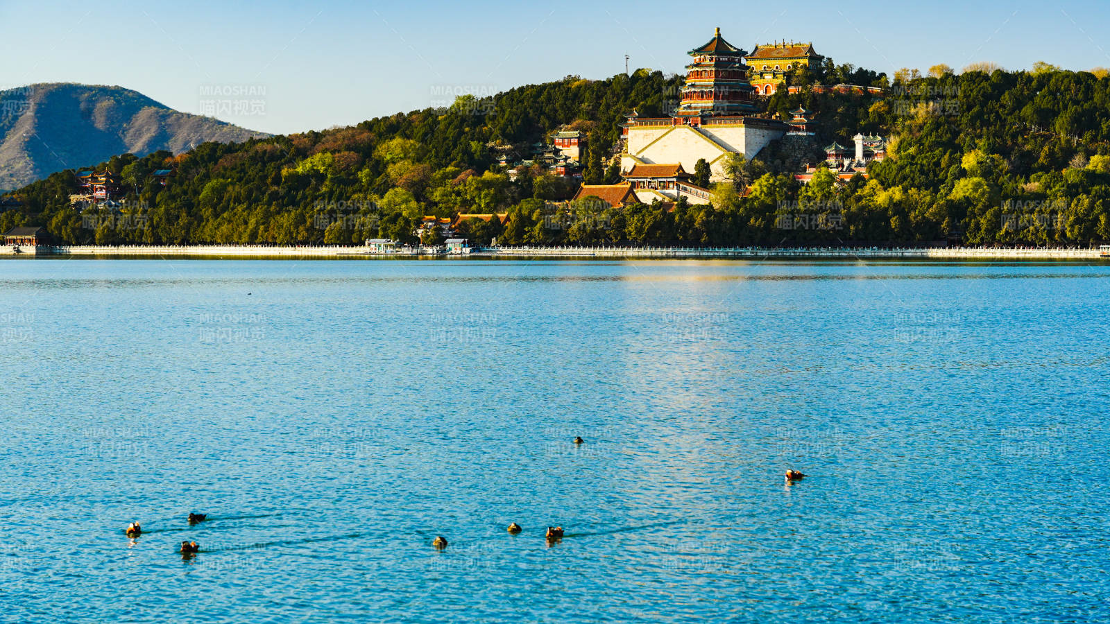 頤和園湖光山色映古塔