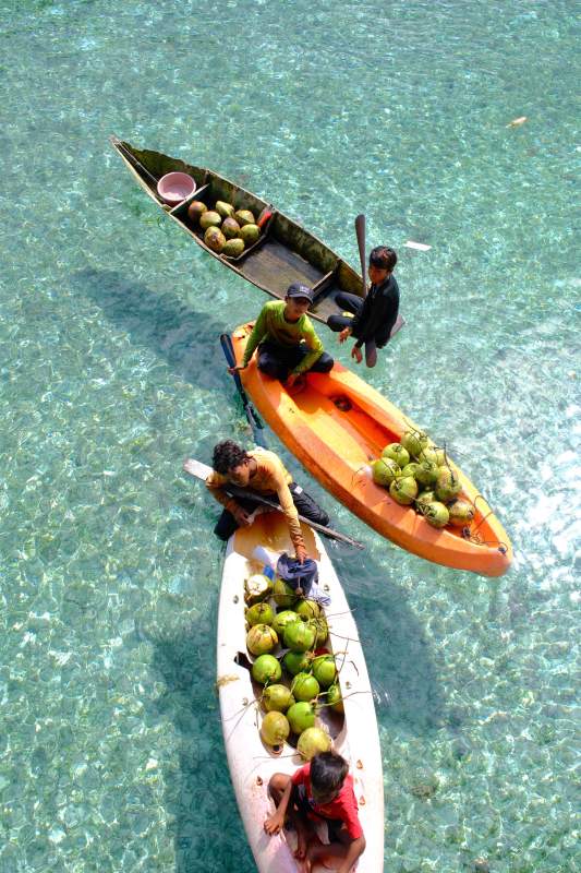 椰林水乡采椰记