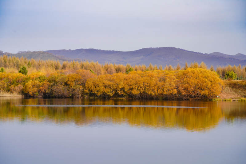 秋湖映山色